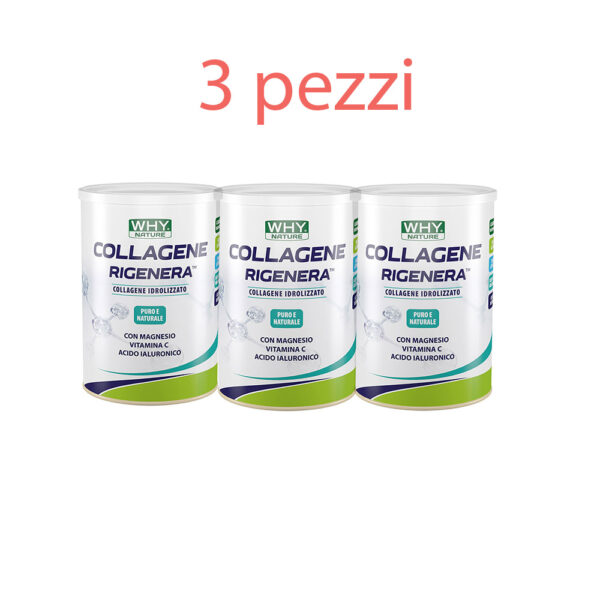 Collagene Rigenera 330gr vari gusti  3 pezzi - WHY NATURE